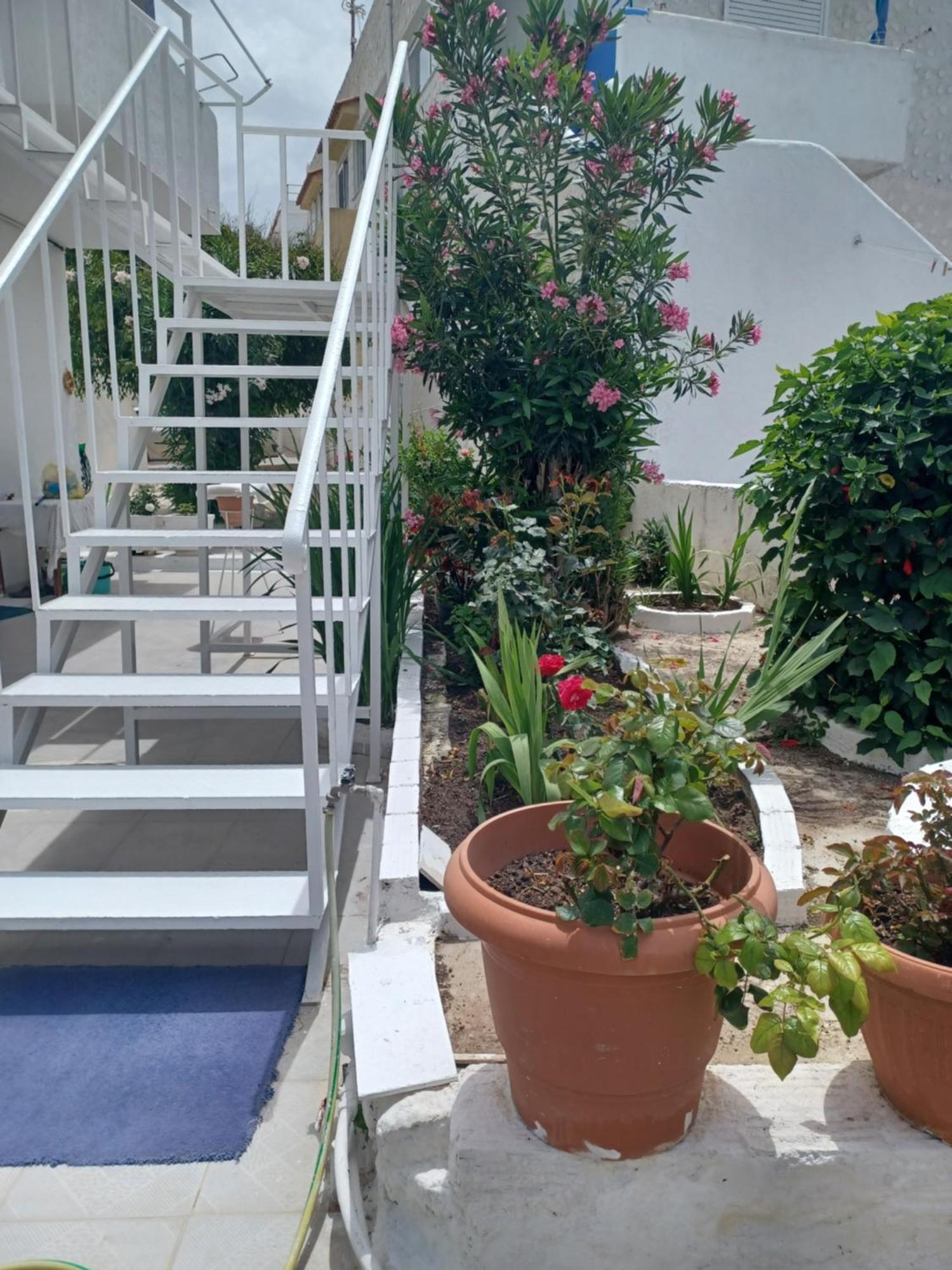 Mastichari Nektaria Studio Mastihari Exterior foto